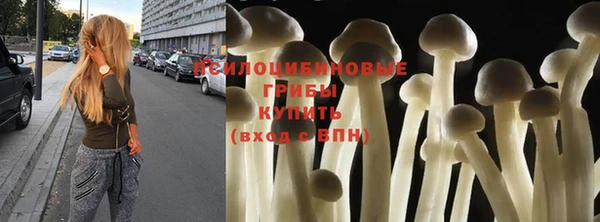 спайс Богородицк