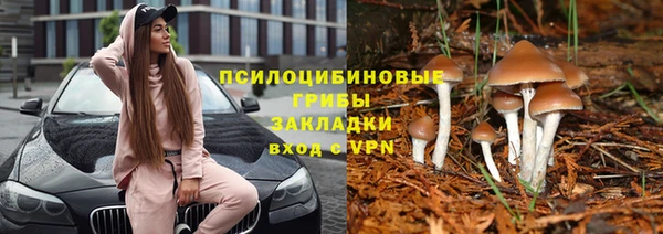 спайс Богородицк