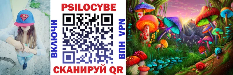 Псилоцибиновые грибы Psilocybe  Калининград 